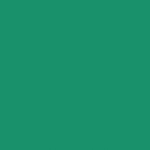 Createx Acrylic Colors Permanent Light Green, Gallon